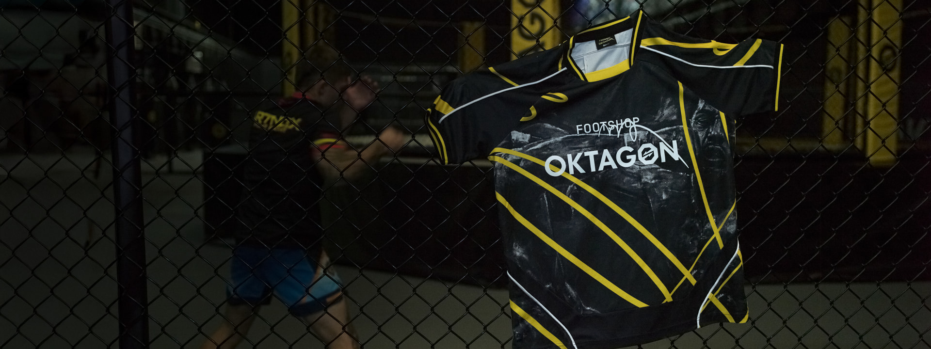 THE ART OF FIGHT