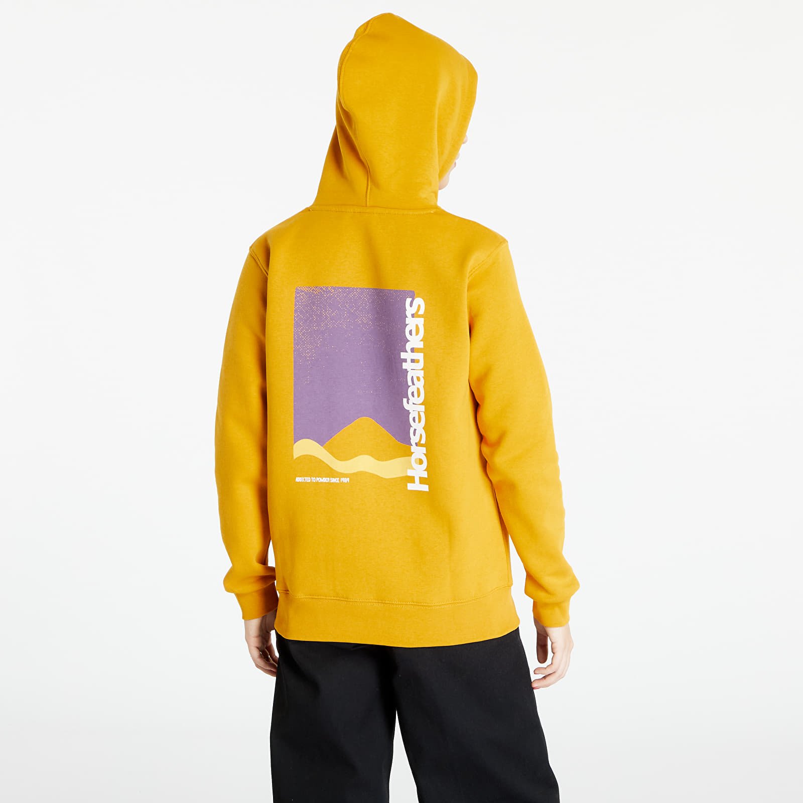 Kapucnis pulóverek és pulcsik Horsefeathers Uta Sweatshirt Sunflower