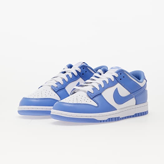 Nike x polar dunks 2025