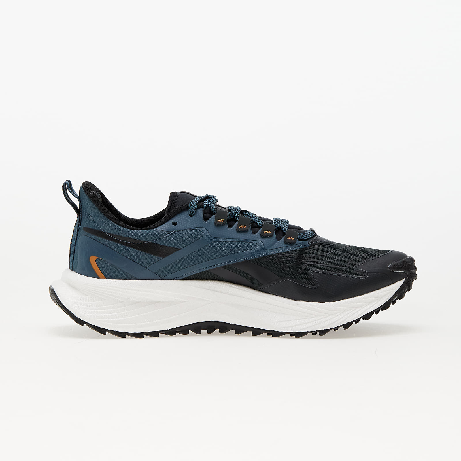 Men's shoes Reebok Floatride Energy 5 Adventure Pure Grey/ Hooblu/ Black