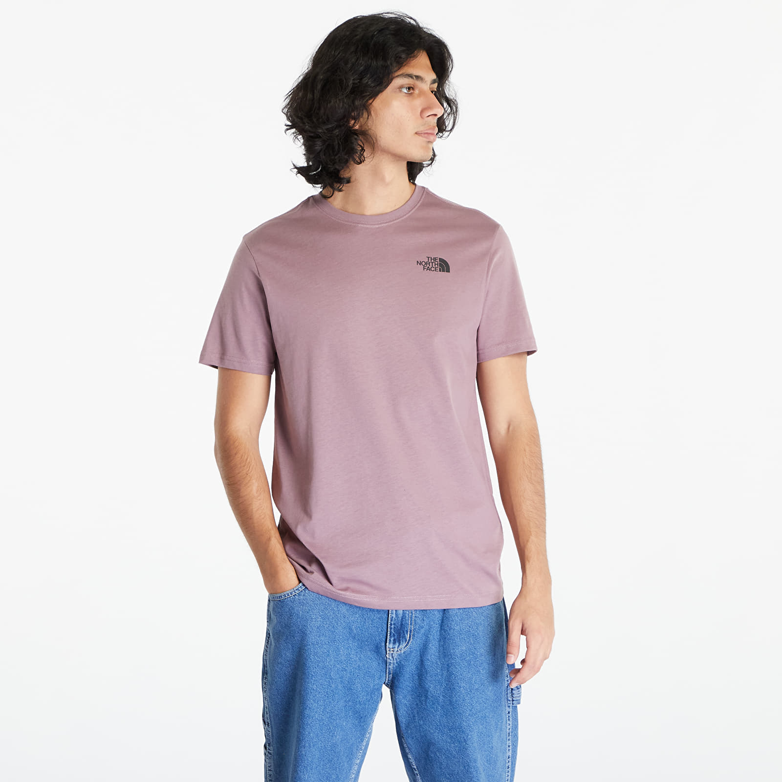 The North Face Redbox Celebration Tee Fawn Grey