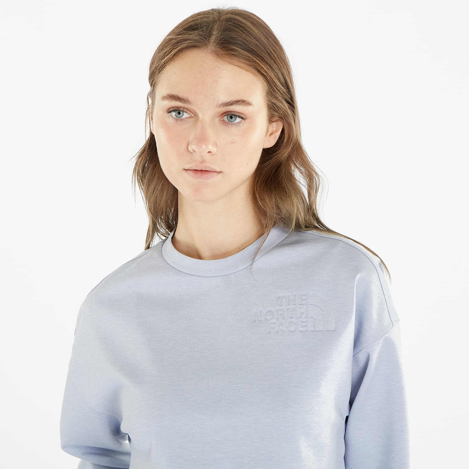 The north face grey sweatshirt 2025