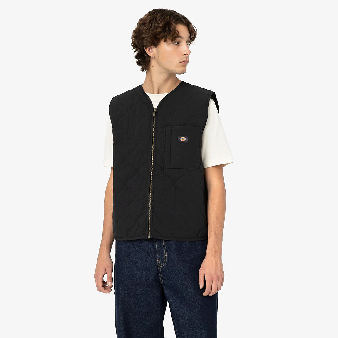 Gilets Dickies Thorsby Liner Vest UNISEX Black