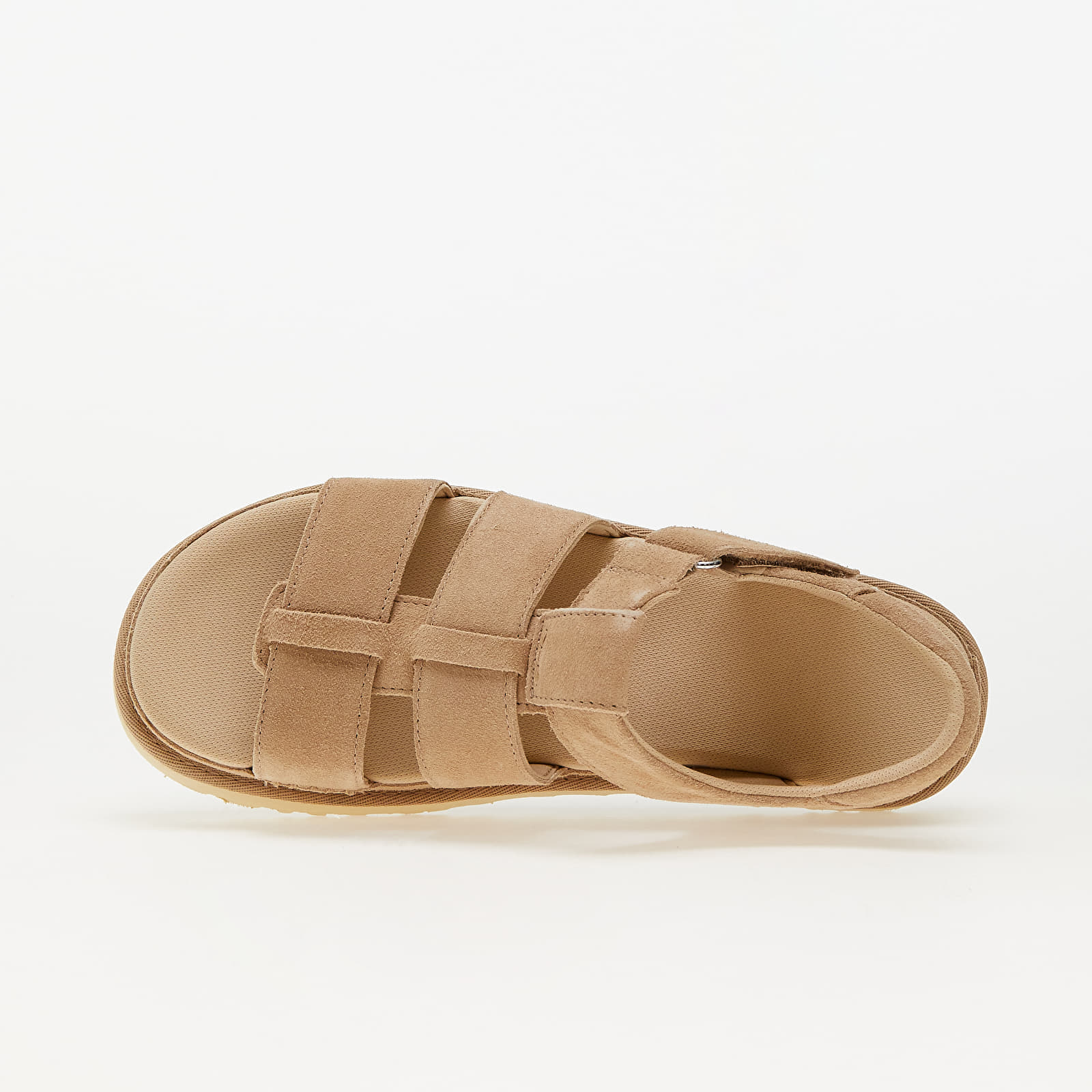 Ženski čevlji UGG W Goldenstar Strap Driftwood