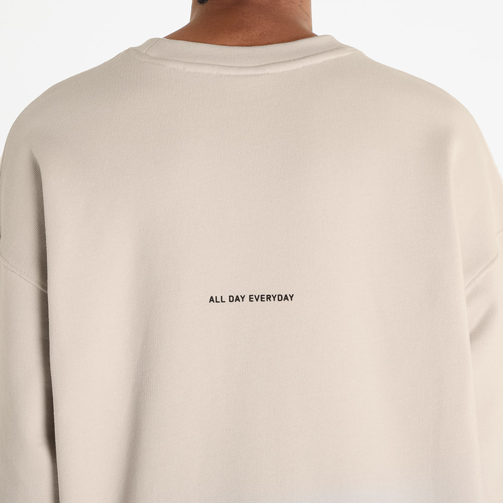 Hoodies and sweatshirts  FTSHP Halftone Crewneck Sweatshirt UNISEX Stone