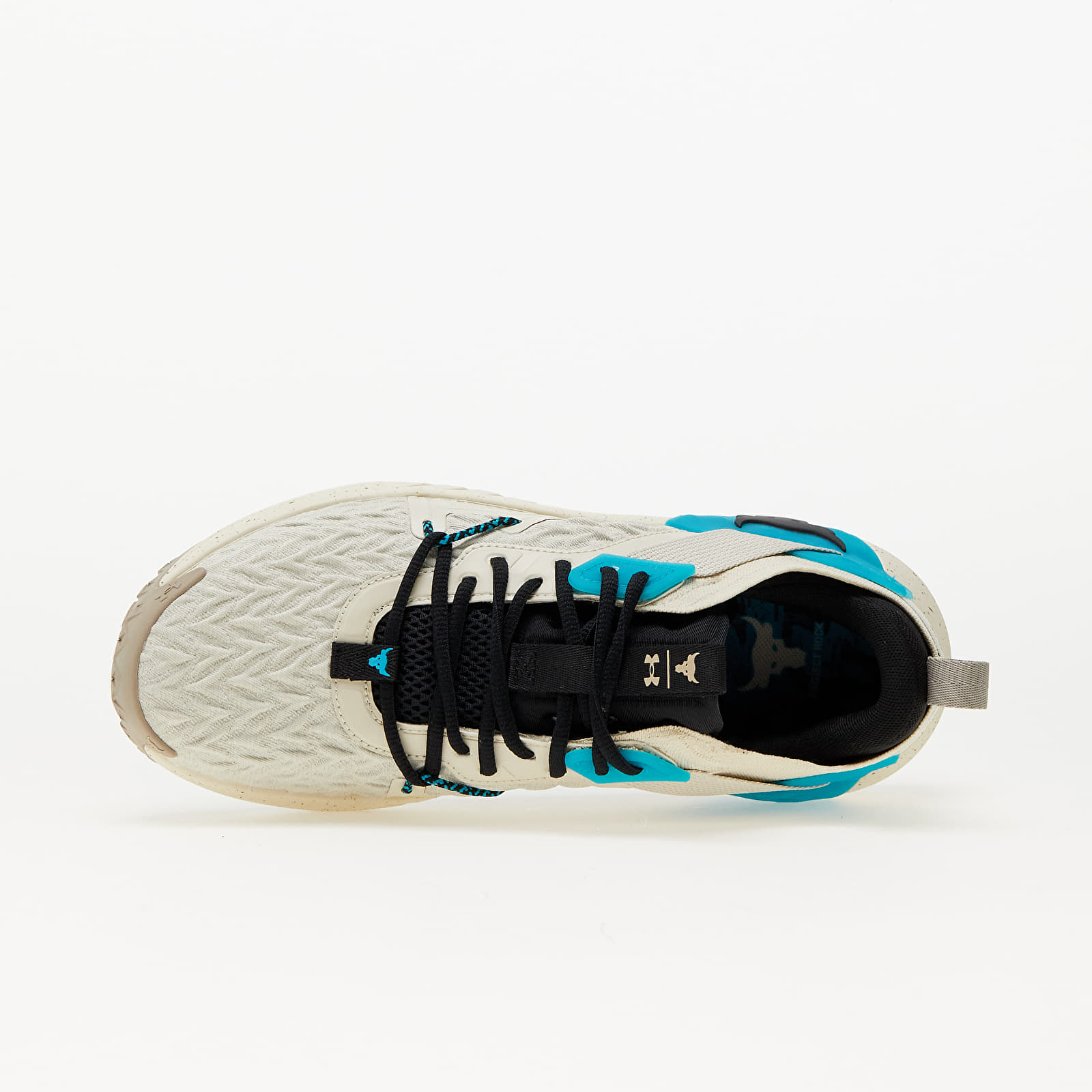 Men's shoes Under Armour Project Rock 6 Silt/ Silt/ Black