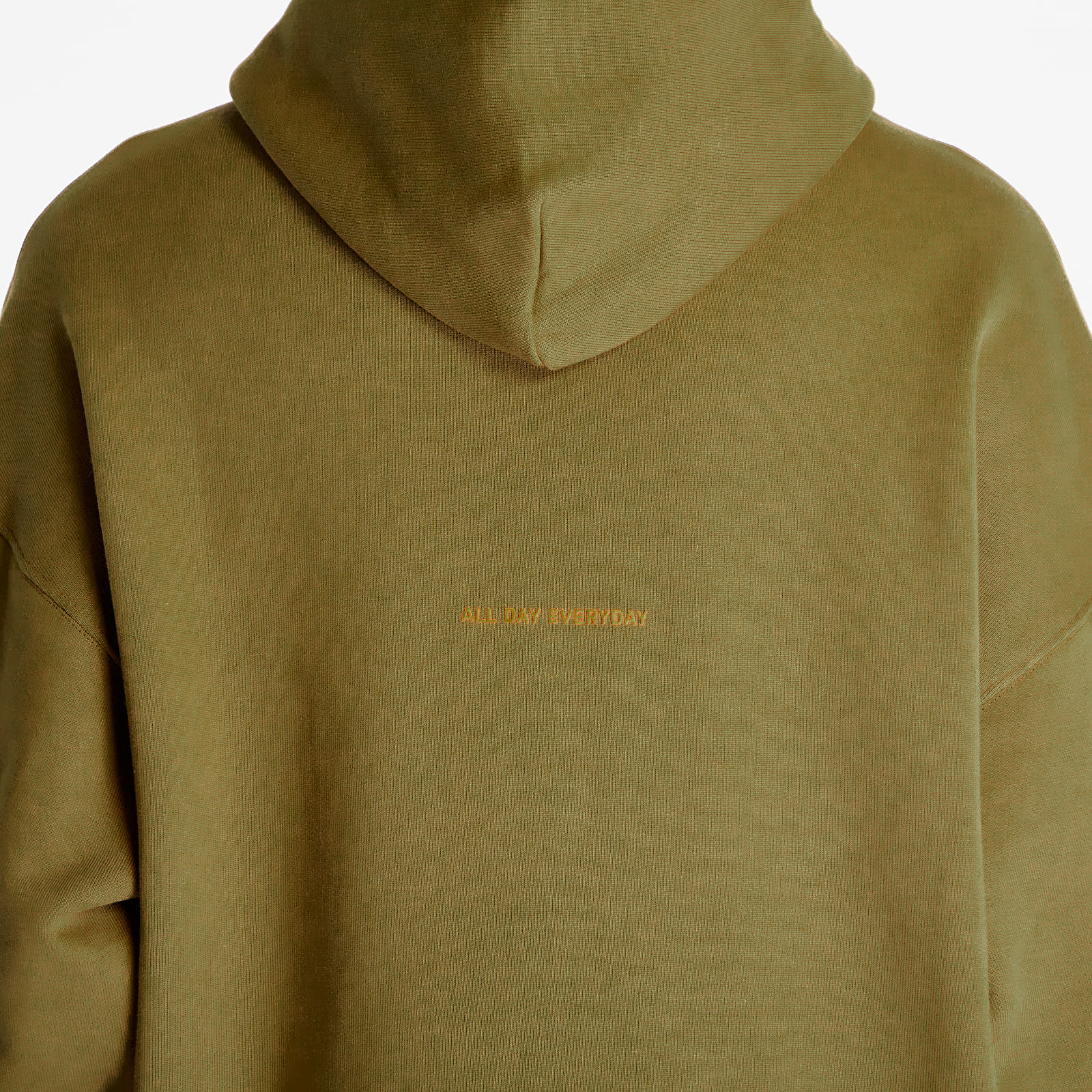 Hoodies and sweatshirts  FTSHP Halftone Hoodie UNISEX Khaki