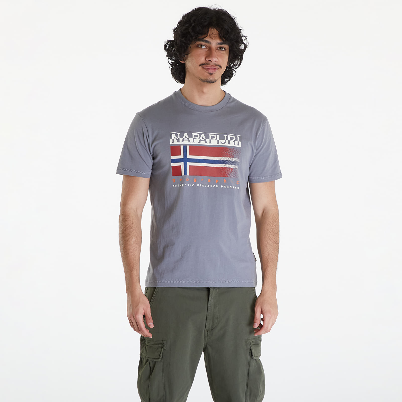 Magliette Napapijri S-Kreis Tee Grey Owl