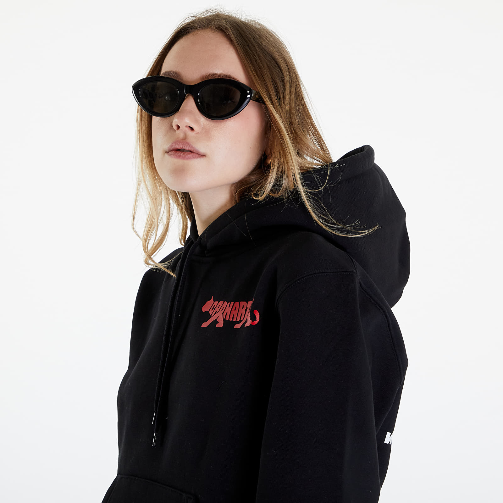 Bluzy Carhartt WIP Rocky Script Hoodie UNISEX Black