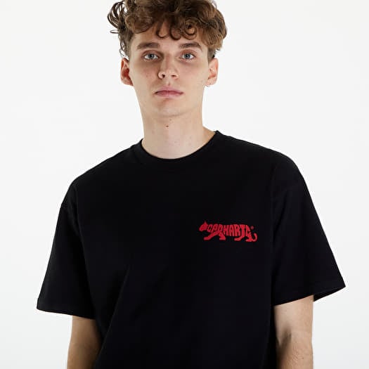 ★2024SS新作★CARHARTT★S/S ROCKY T-SHIRT S/S Rocky T-Shirt – Premier