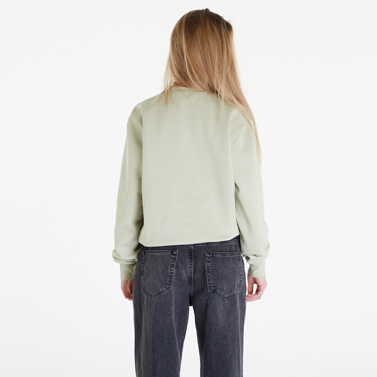 Bluzy Carhartt WIP Sweatshirt UNISEX Beryl/ Sorrent