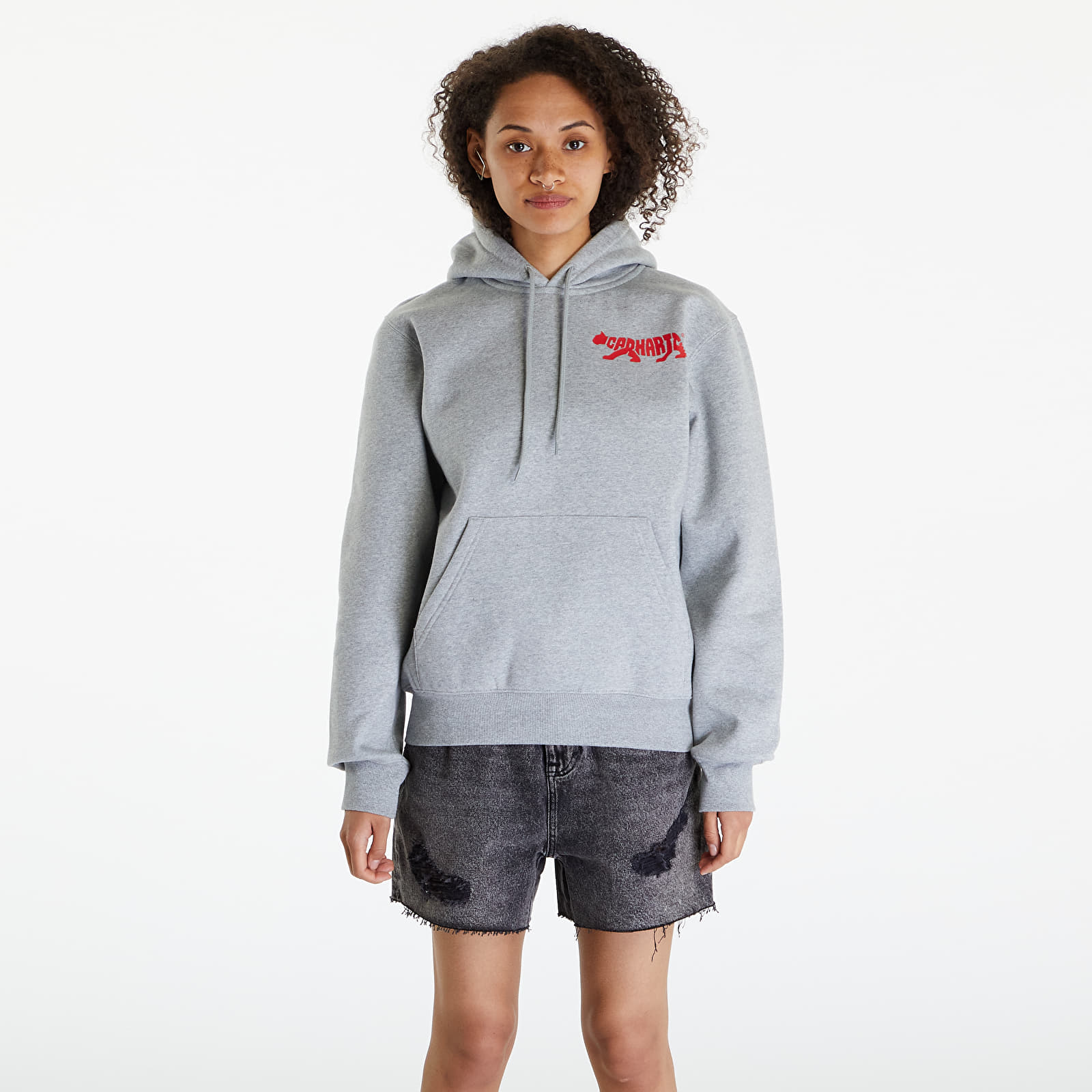 Džemperiai su gobtuvais ir džemperiai Carhartt WIP Rocky Script Hoodie UNISEX Grey Heather