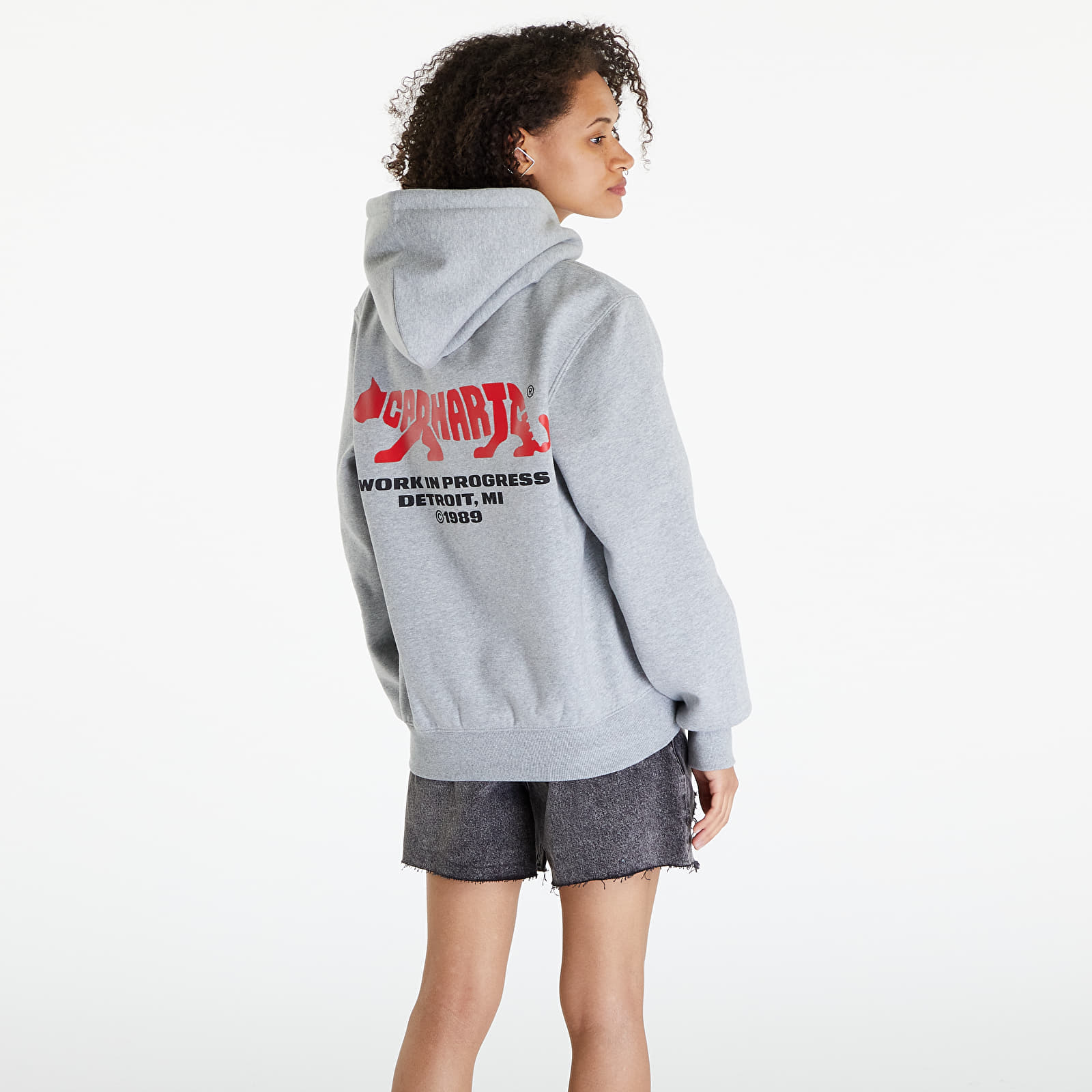 Džemperiai su gobtuvais ir džemperiai Carhartt WIP Rocky Script Hoodie UNISEX Grey Heather
