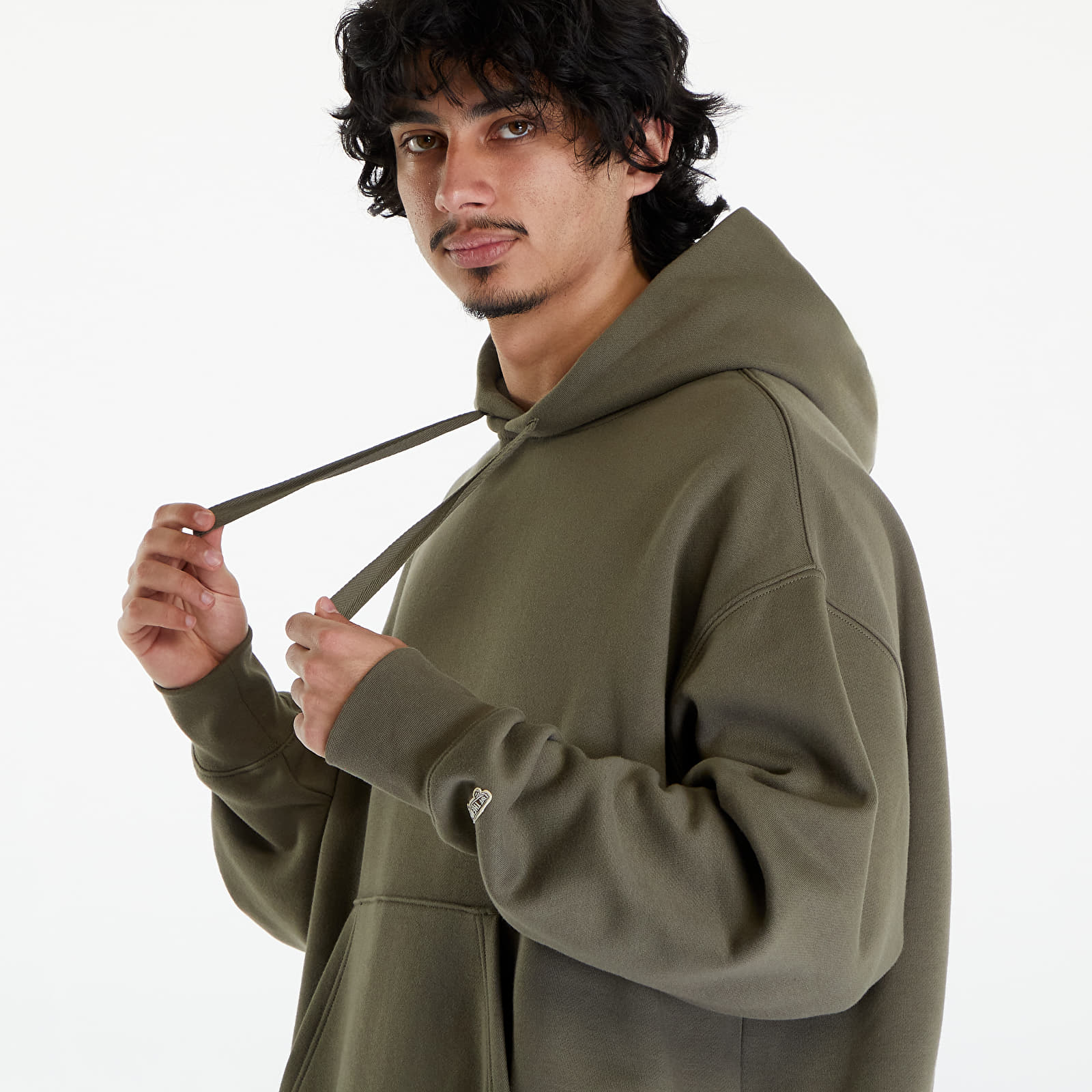 Hoodies and sweatshirts  Vans Surplus Po Hoodie Sea Turtle