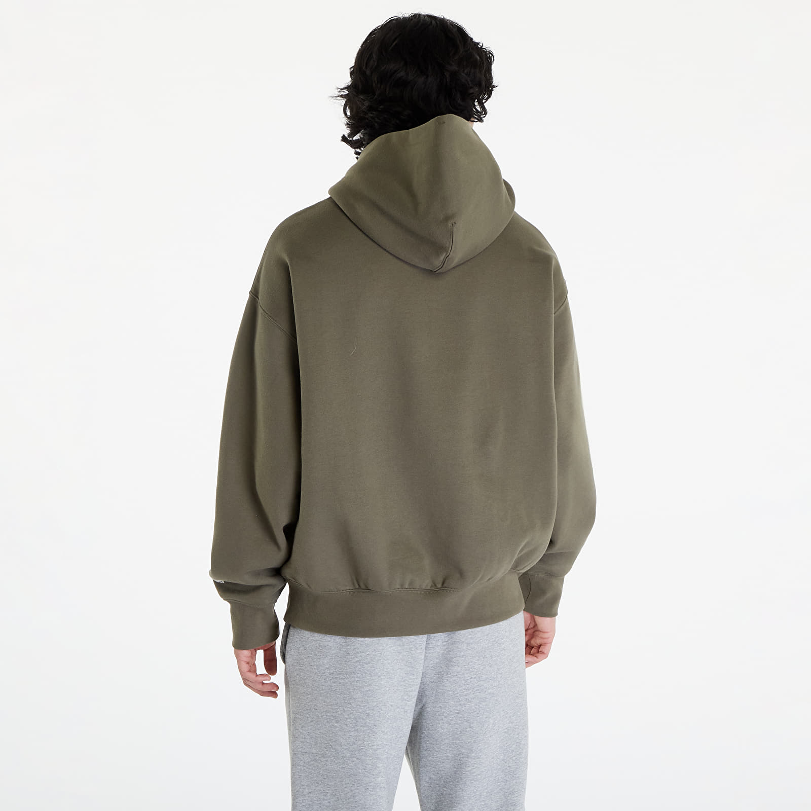 Hoodies and sweatshirts  Vans Surplus Po Hoodie Sea Turtle