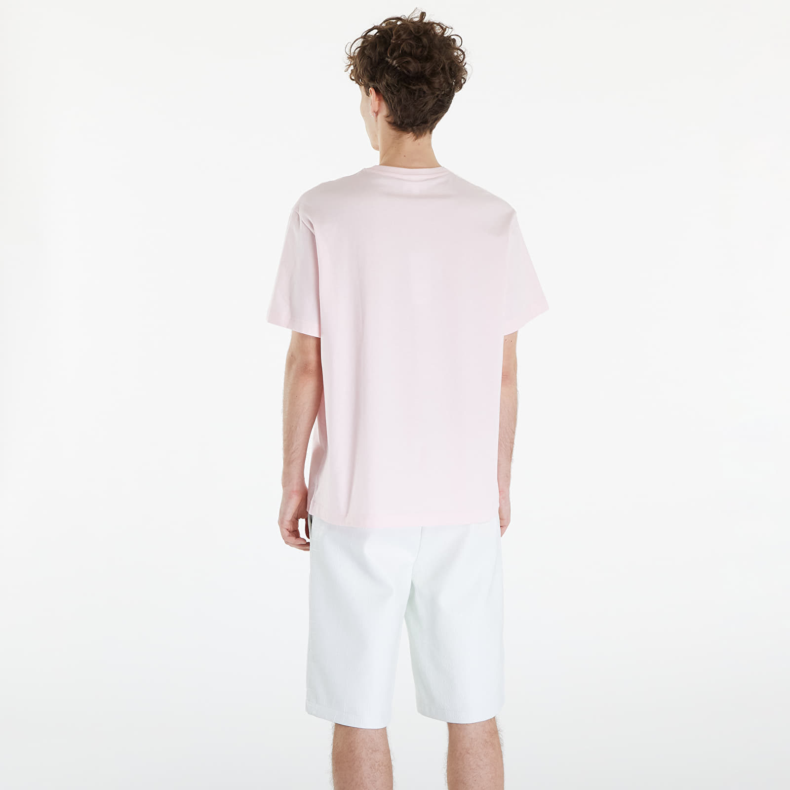 T-shirty męskie LACOSTE Men's T/ shirt Flamingo