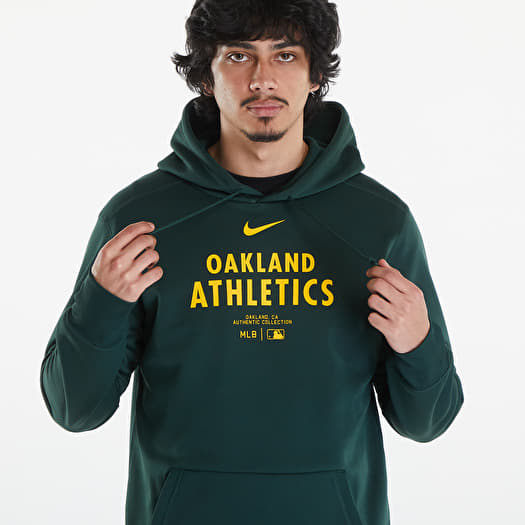 Nike hoodie 146 top