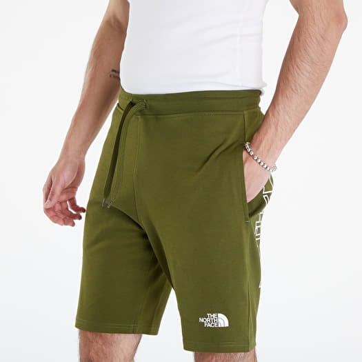 Shorts The North Face Graphic Light Shorts