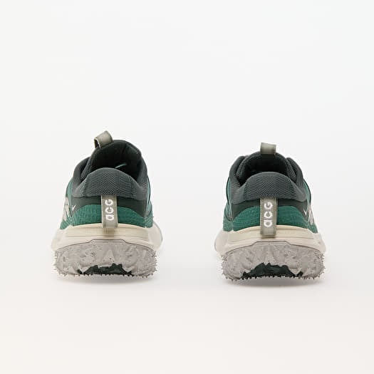 Men's shoes Nike Acg Mountain Fly 2 Low Bicoastal/ Lt