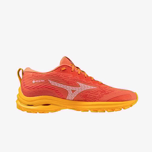 Mizuno Wave Rider Gtx