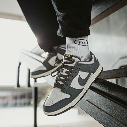 Men s shoes Nike Dunk Low Next Nature Iron Grey Photon Dust Coconut Milk Footshop