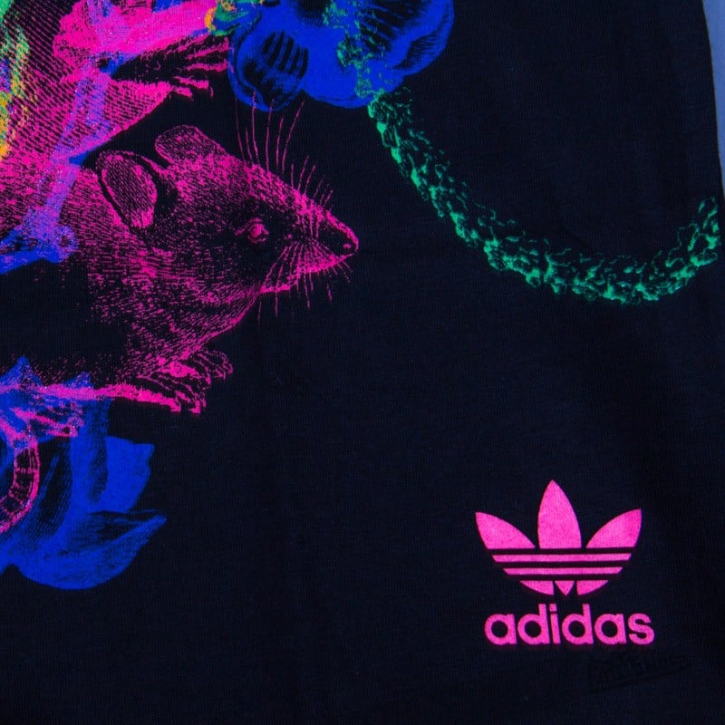Pólók és ingek adidas EF Rgb Tee