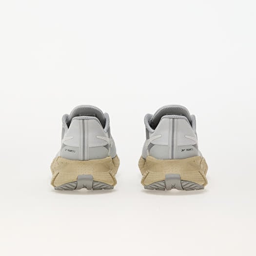 Men s shoes Reebok Floatzig 1 Grey1 Grey2 Classic Beige Footshop