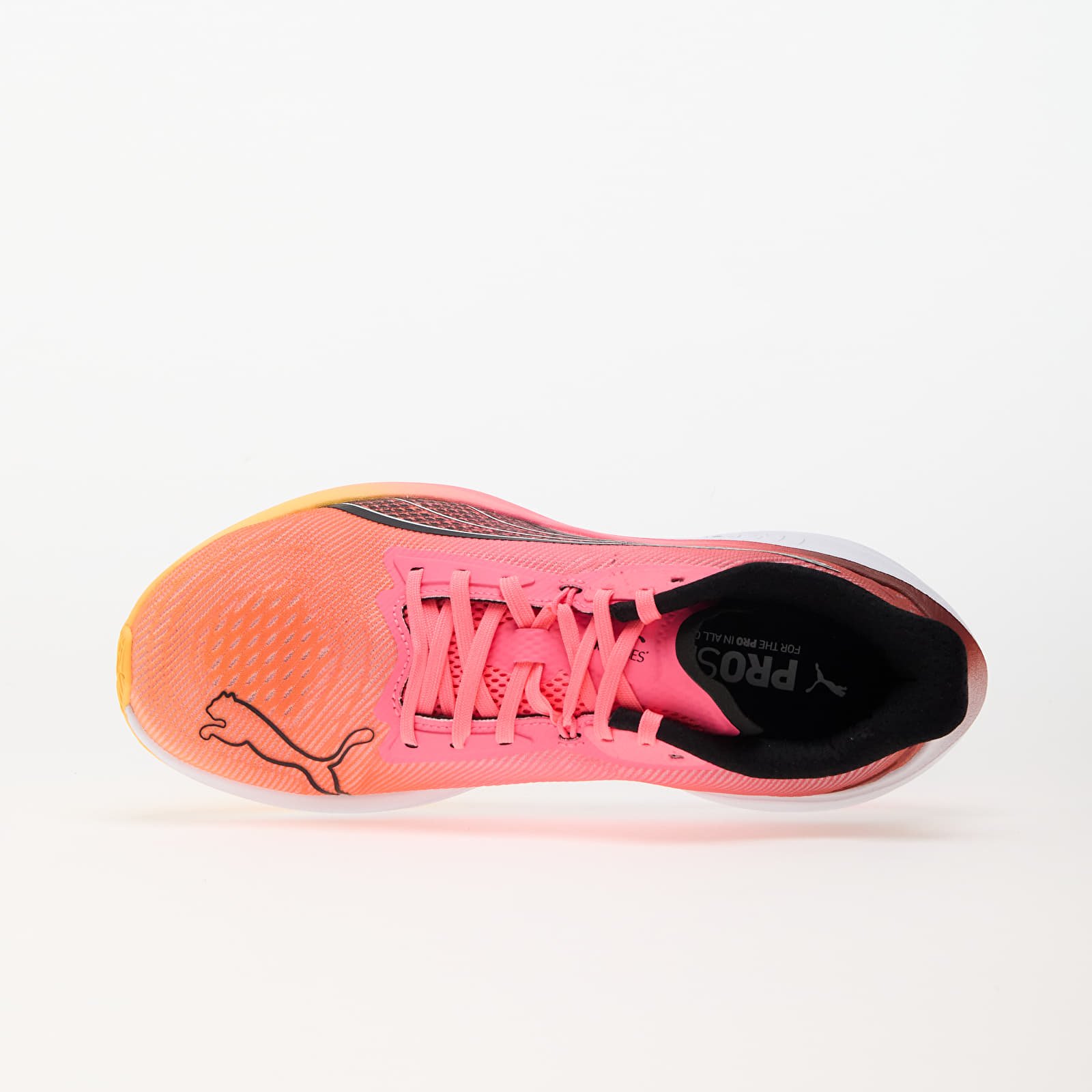 Herren Sneaker und Schuhe Puma Darter Pro Orange