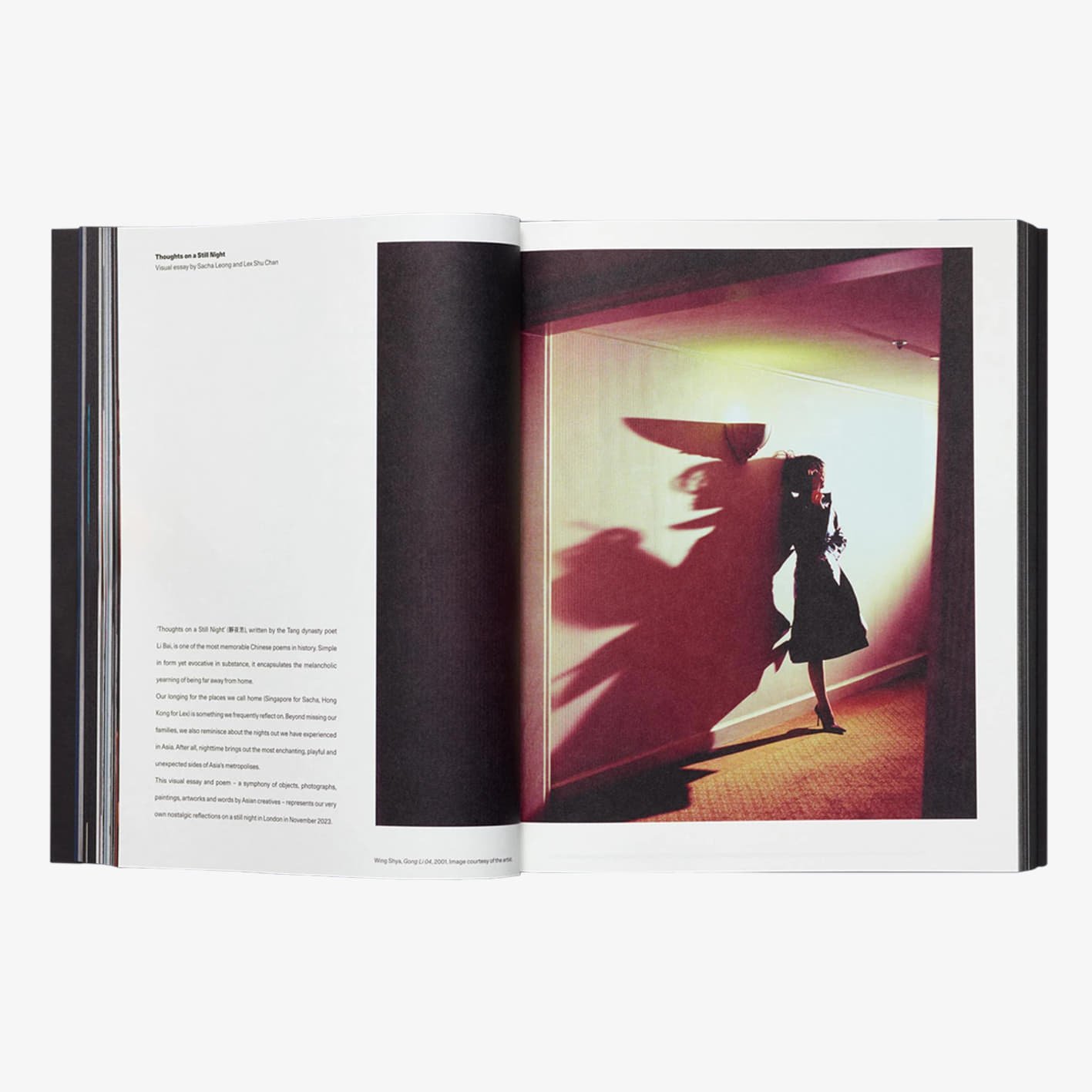 Άλλα αξεσουάρ Acne Paper Issue 19 SS2024