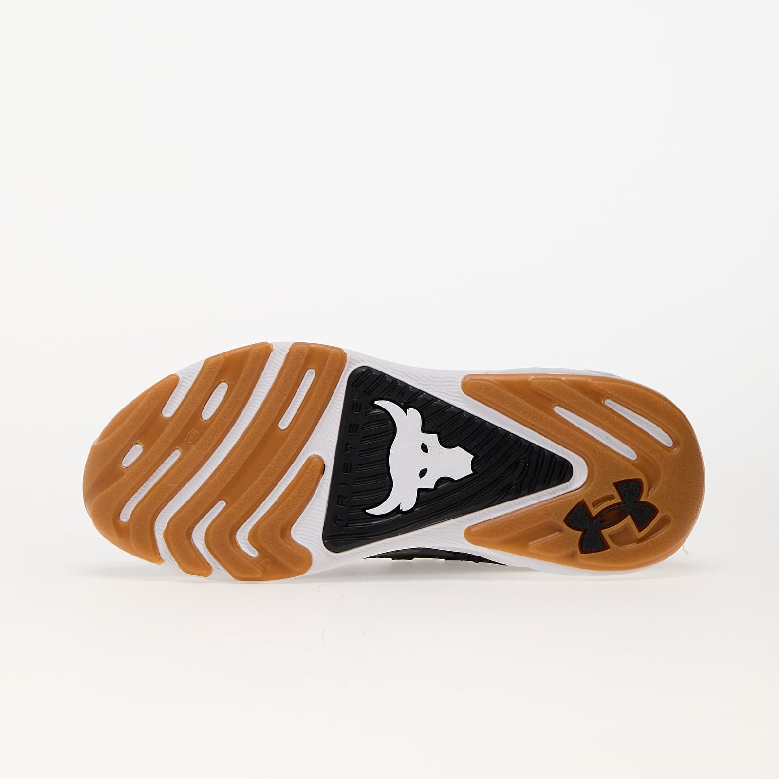 Männer Under Armour Project Rock 7 Black/ White/ Anthracite