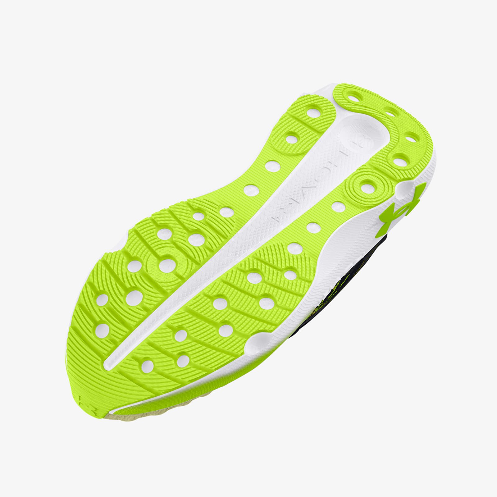 Men's shoes Under Armour Infinite Elite Black