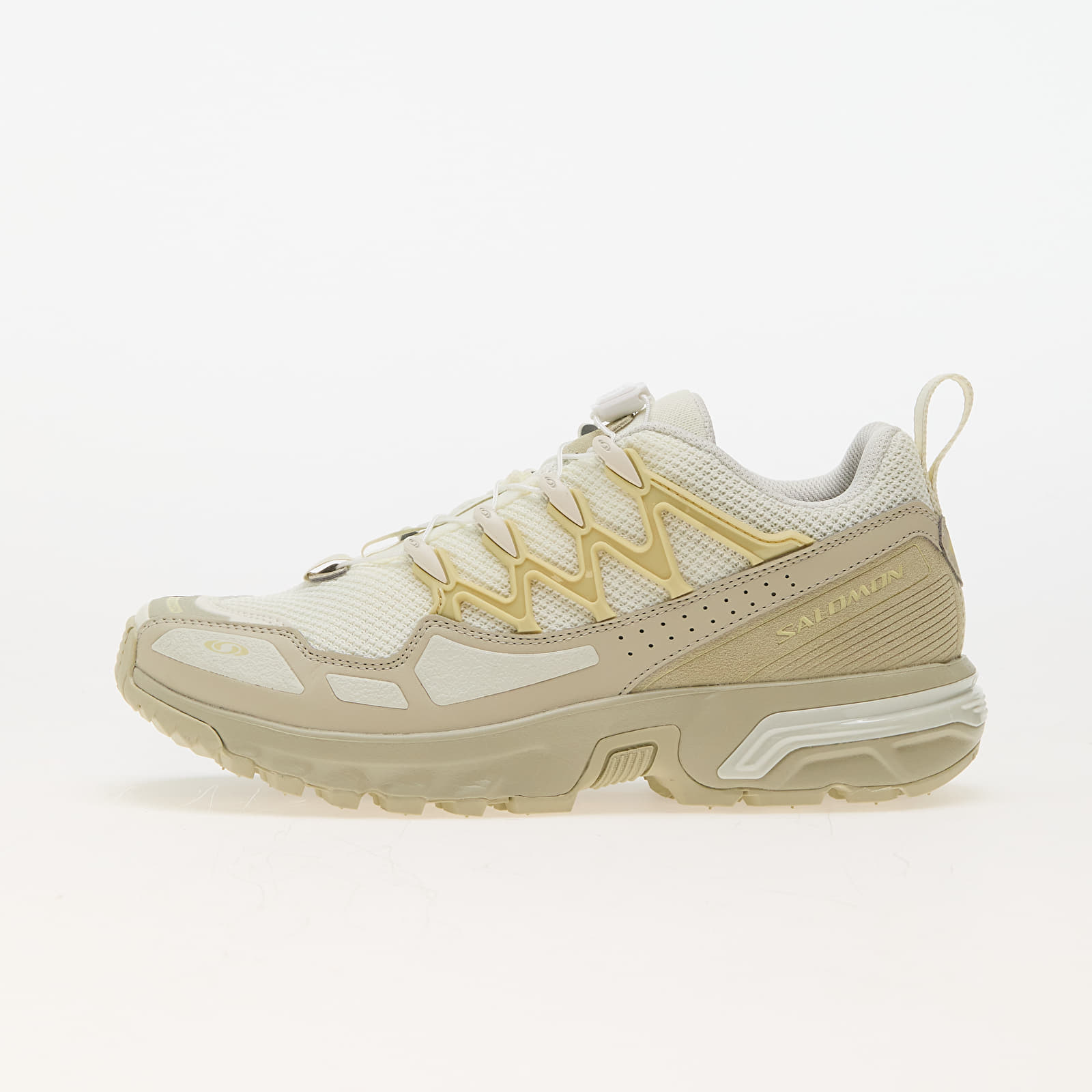 Men's shoes Salomon ACS + Seasonal Icicle/ Alfalfa/ Dusty