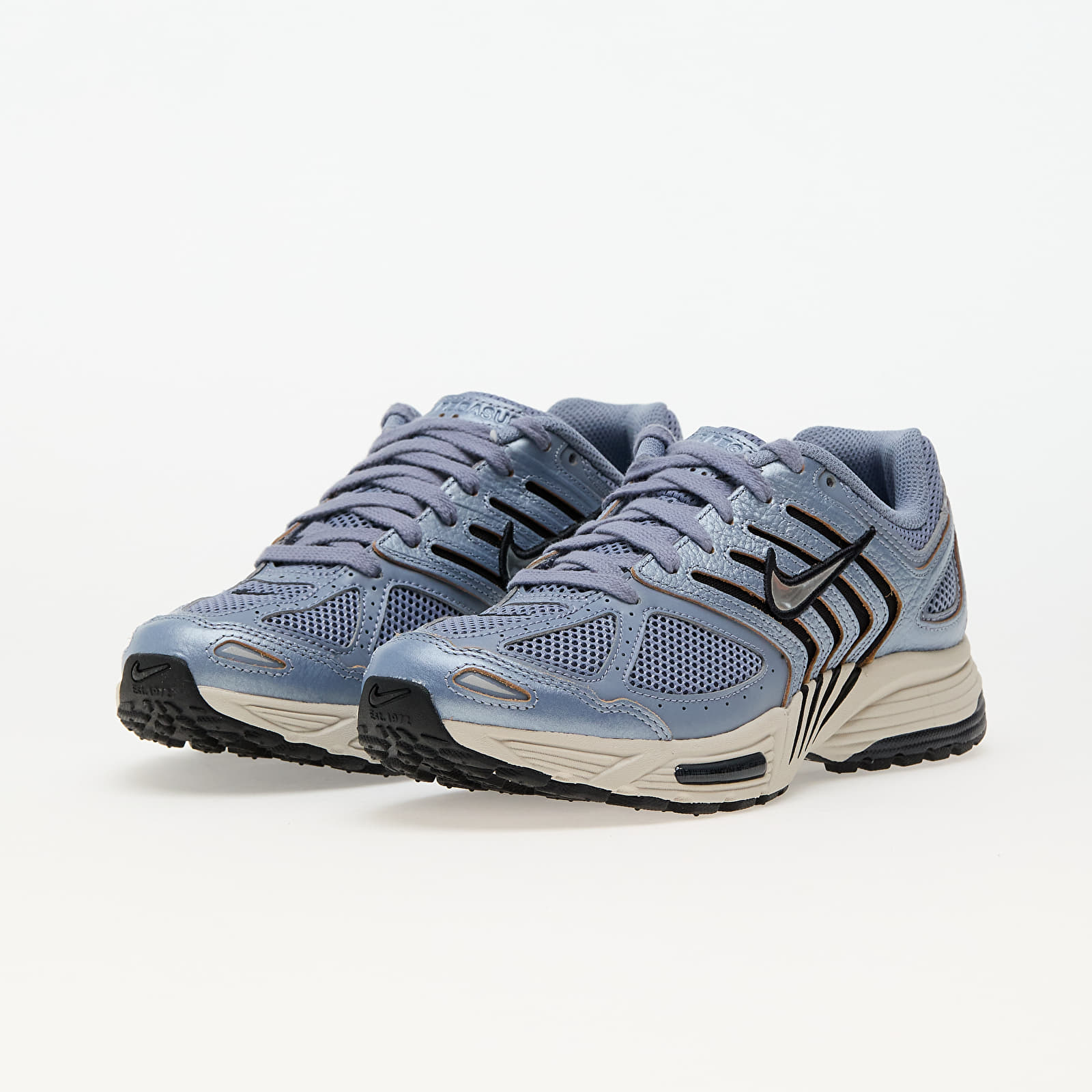 Women's shoes Nike W Air Pegasus 2005 C.O.R Ashen Slate/ Chrome-Lt Orewood Brn