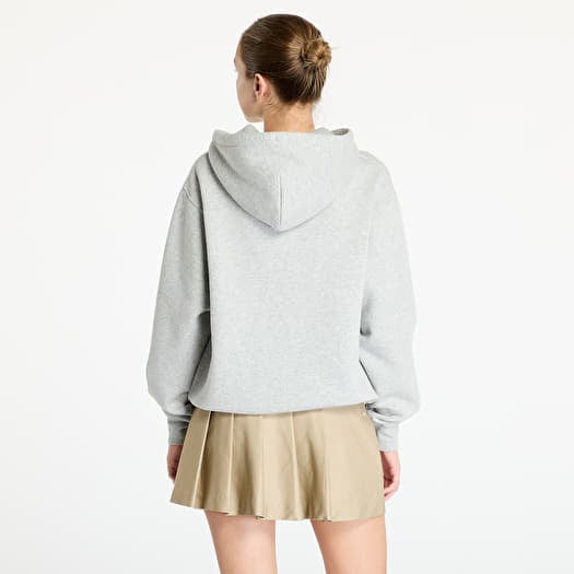 Hoodies gray online