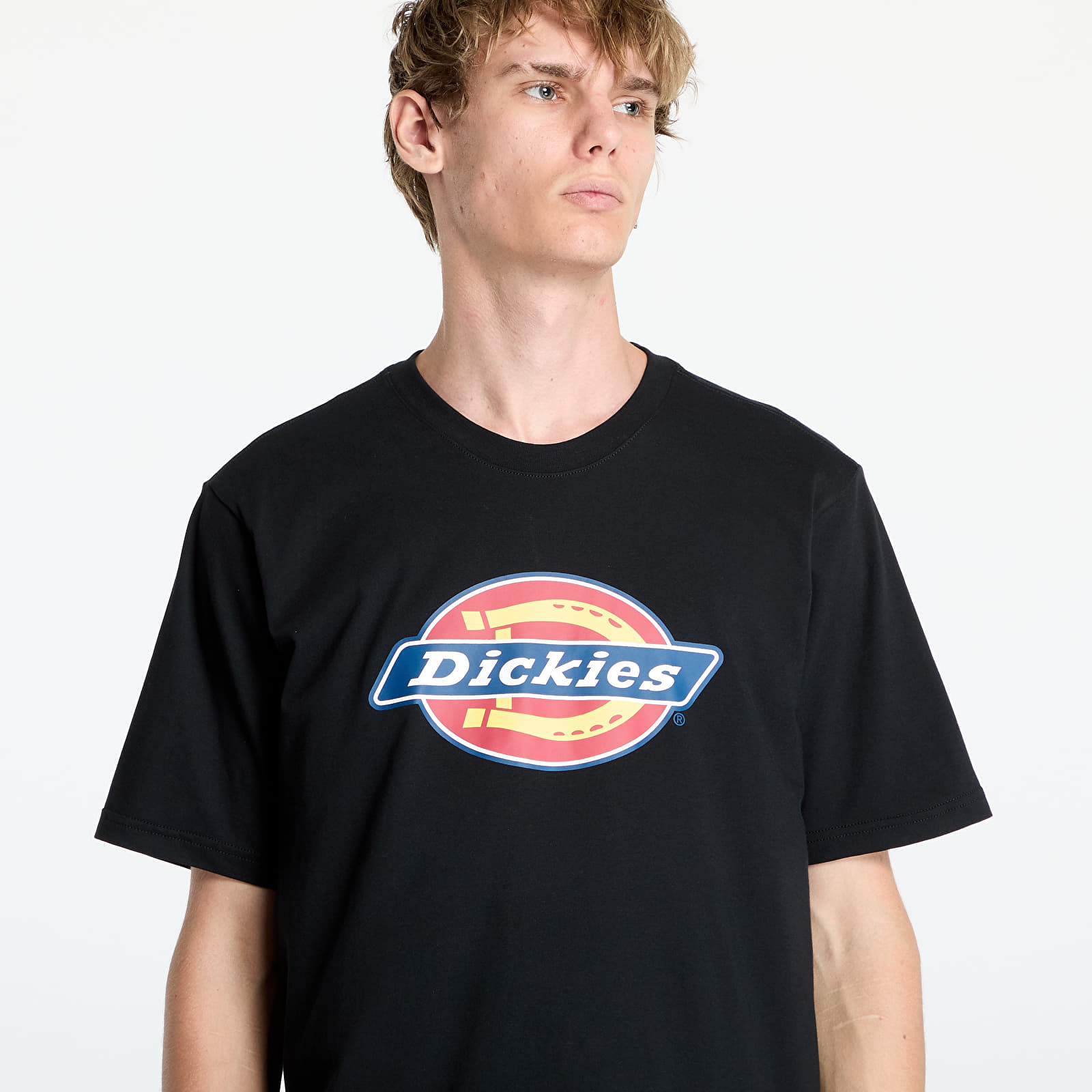 Camisetas Dickies Icon Logo Short Sleeve Tee Black