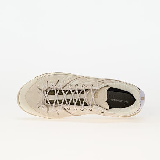 Salomon x alp low online