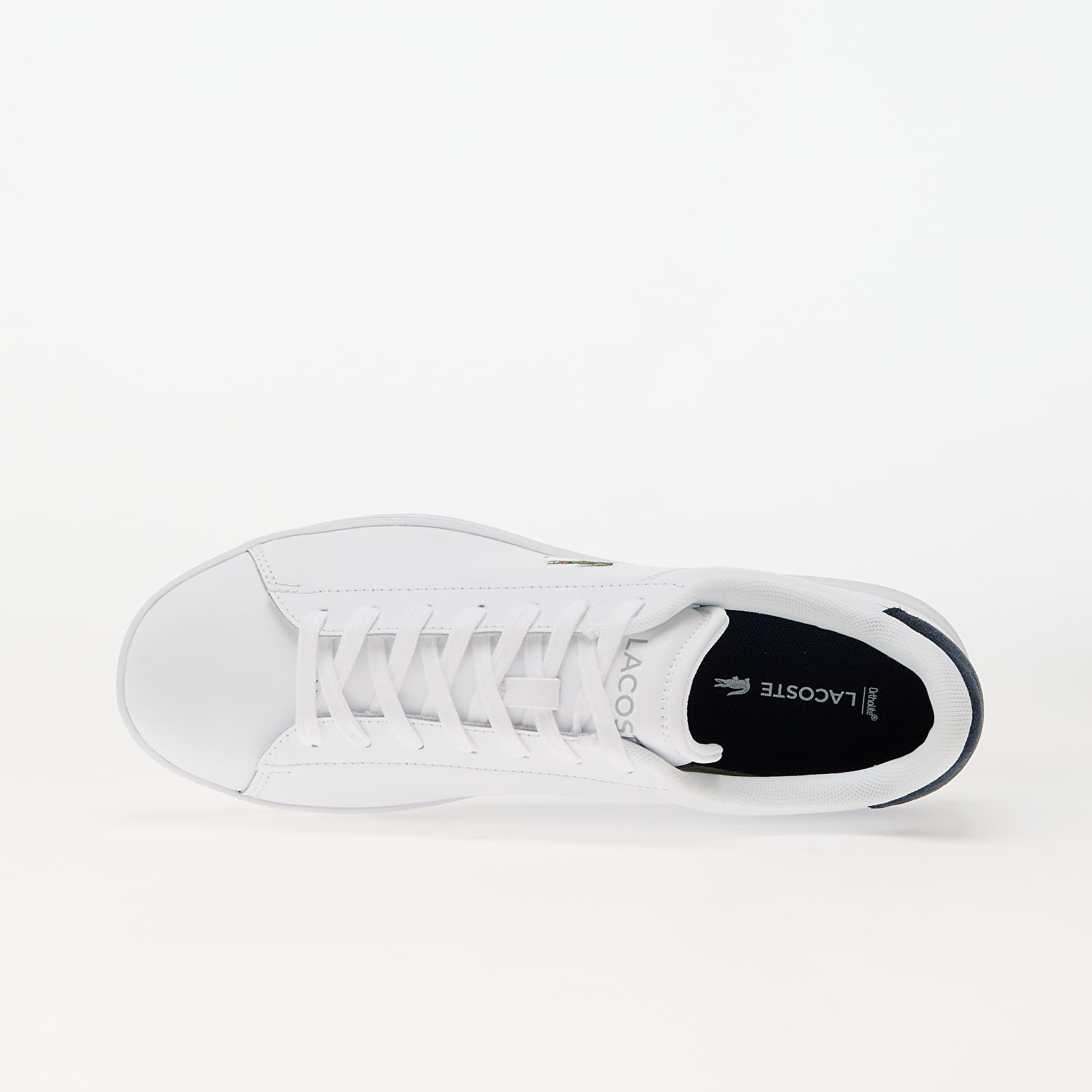 Zalando scarpe lacoste outlet