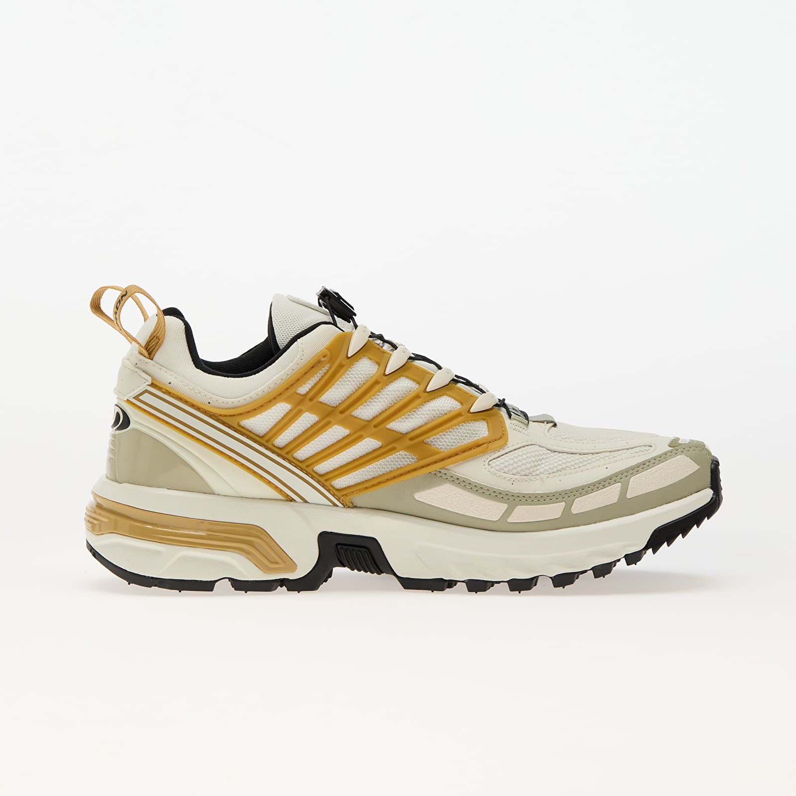 Men's shoes Salomon ACS Pro GTX Icicle/ Antelope/ Tea
