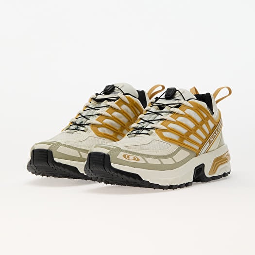 Herren Sneaker und Schuhe Salomon ACS Pro GTX Icicle