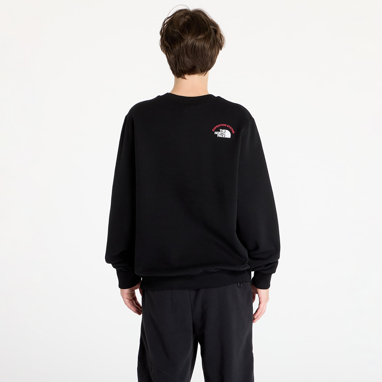 Hoodies für Männer The North Face Crew Expedition System TNF Black