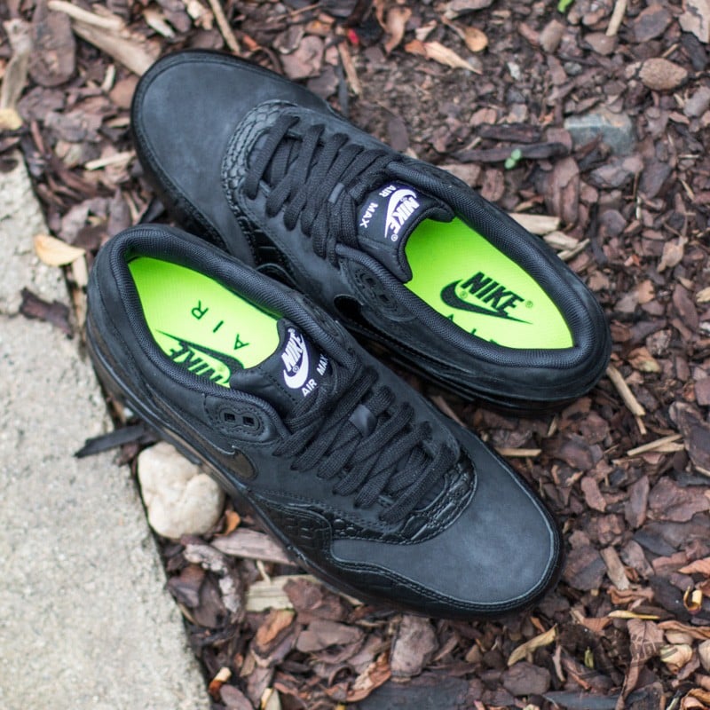 Women's shoes Nike Wmns Air Max 1 Premium Black/Black-Metallic Silver