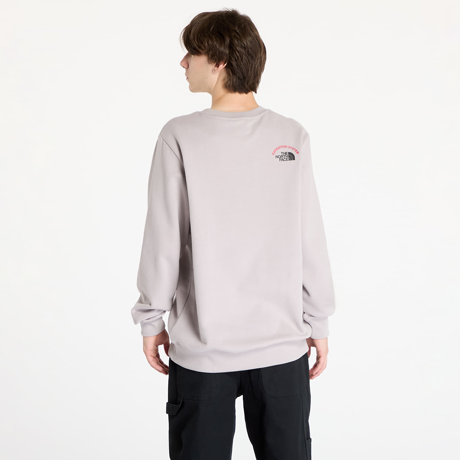 Pánské mikiny The North Face Crew Expedition System Moonstone Grey