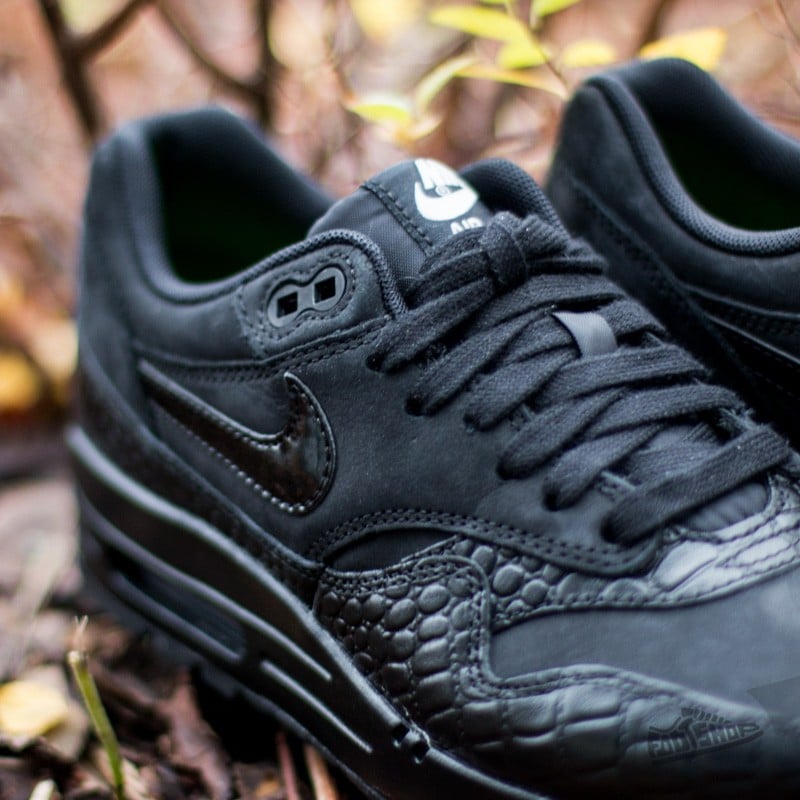 Women's shoes Nike Wmns Air Max 1 Premium Black/Black-Metallic Silver
