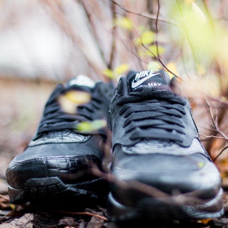 Women's shoes Nike Wmns Air Max 1 Premium Black/Black-Metallic Silver