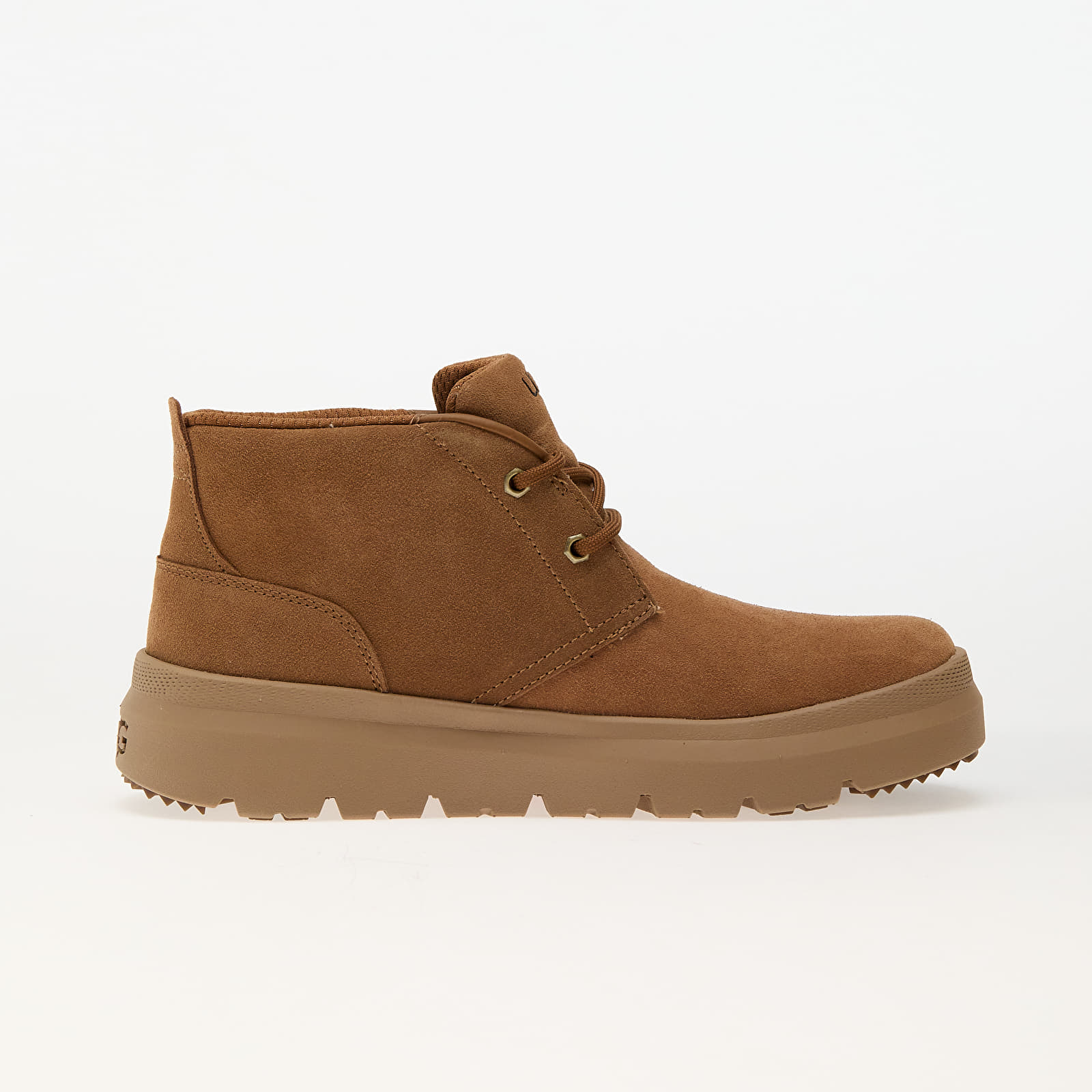 Men's shoes UGG M Burleigh Chukka Chestnut
