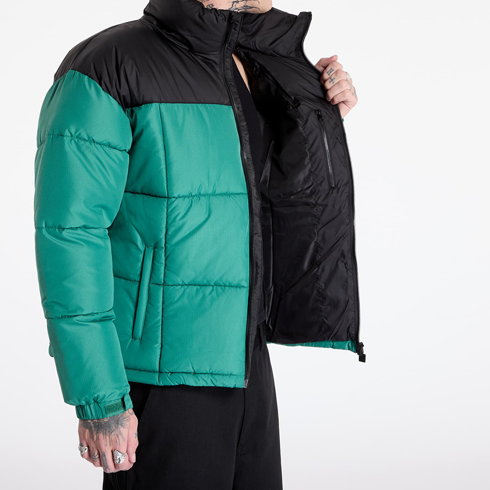 Casacos de homem Ellesse Argent Padded Black/ Green