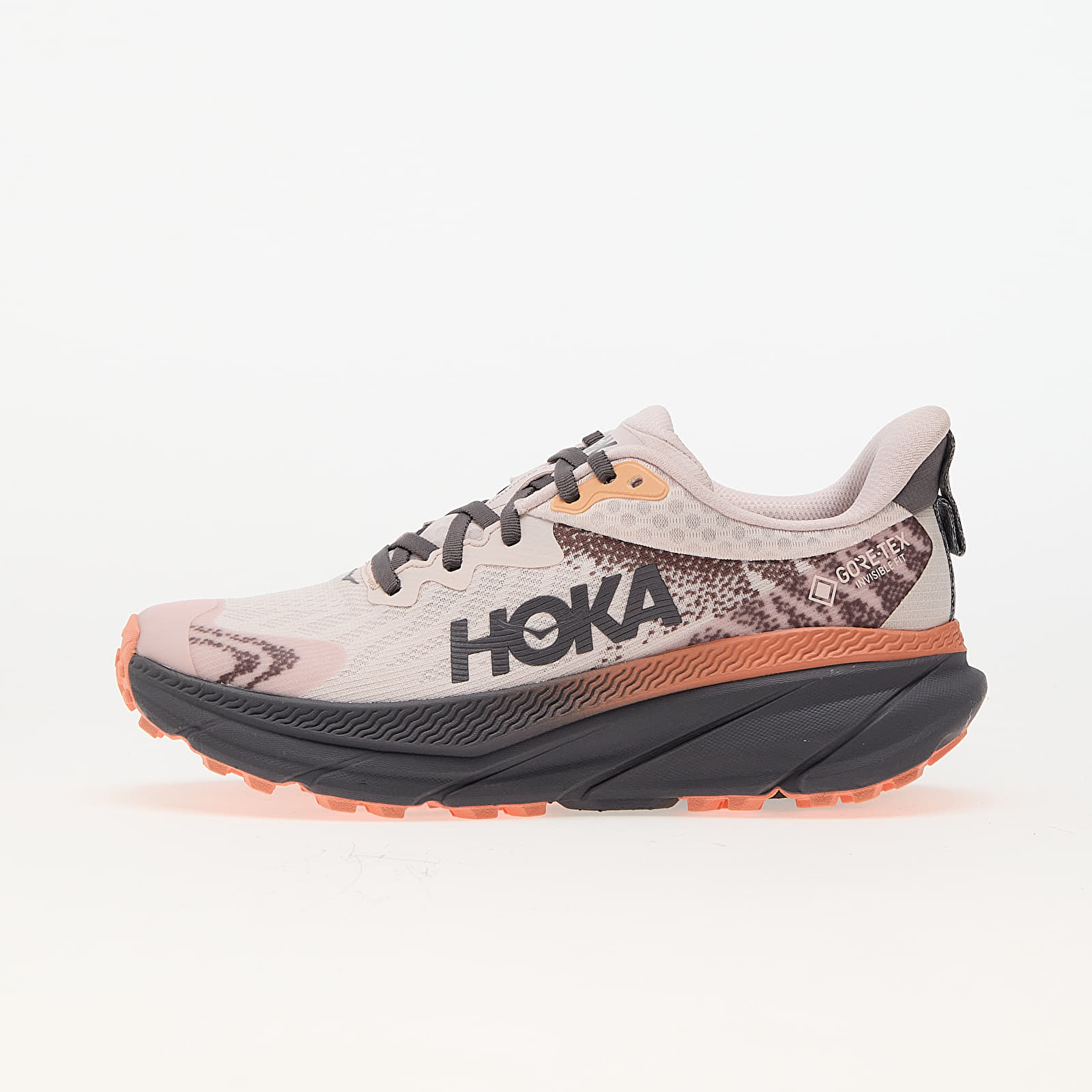 Chaussures et baskets femme Hoka® W Challenger 7 GTX Cosmic Pearl/ Galaxy