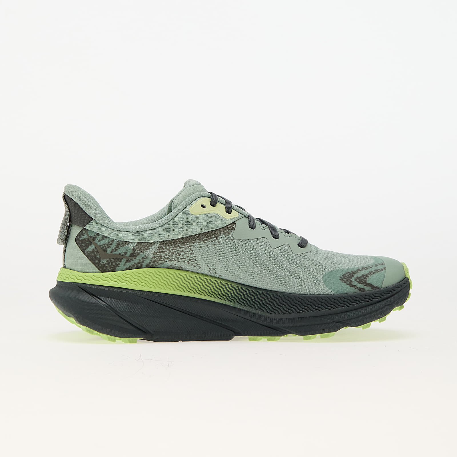 Men's shoes Hoka® M Challenger 7 GTX Aloe Vera/ Lettuce