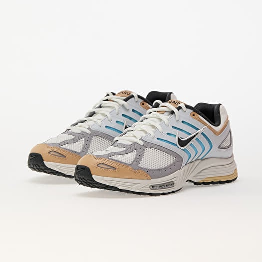 Pegasus nike air clearance