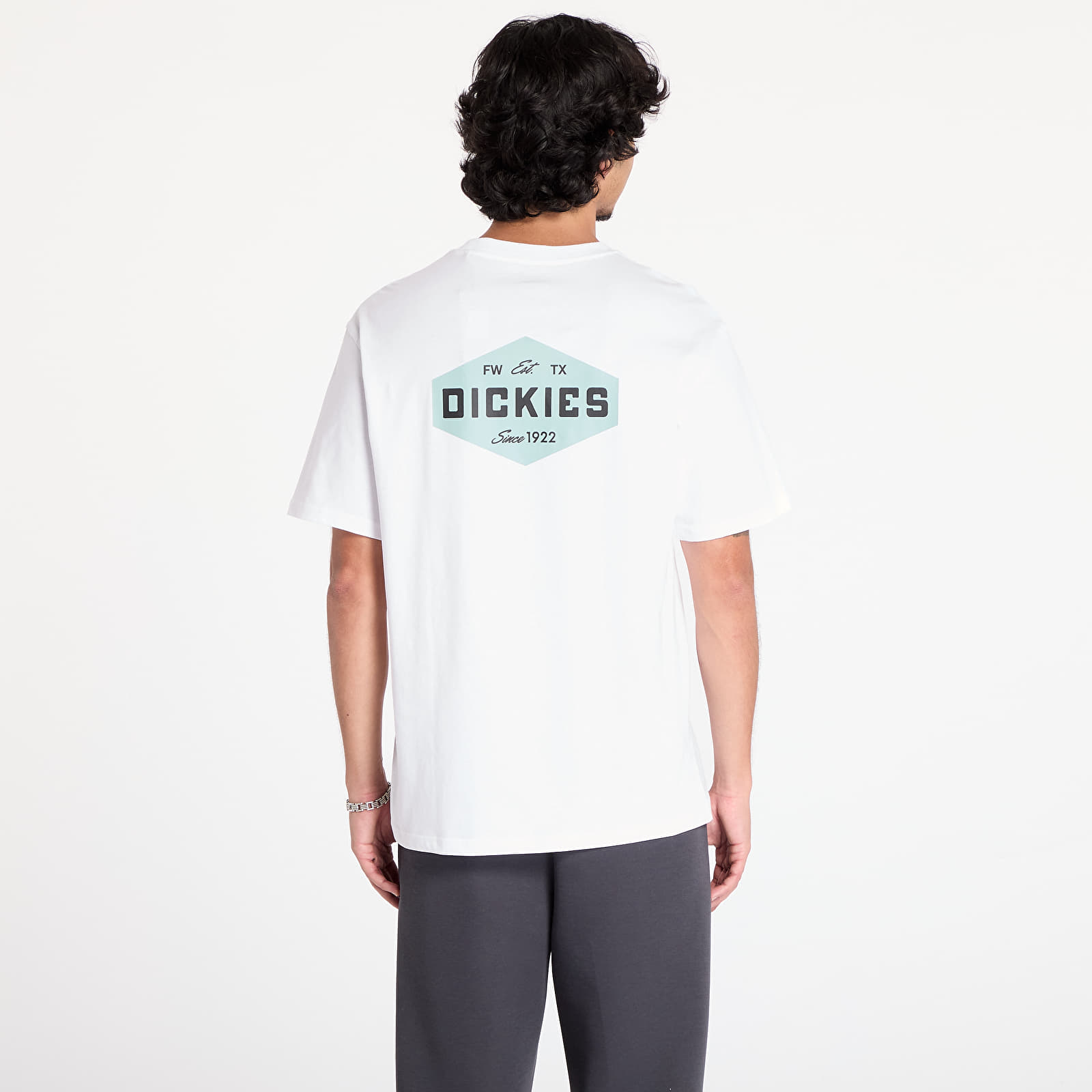 Trička Dickies Emblem Short Sleeve Tee White